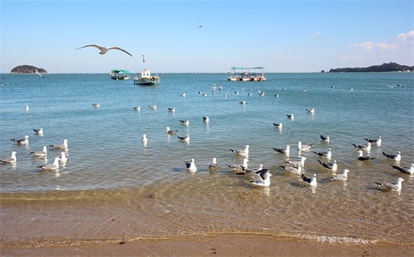 社区全员核酸检测报道(精选8篇)